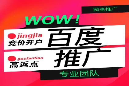 百度平台推广策略及成功案例解析